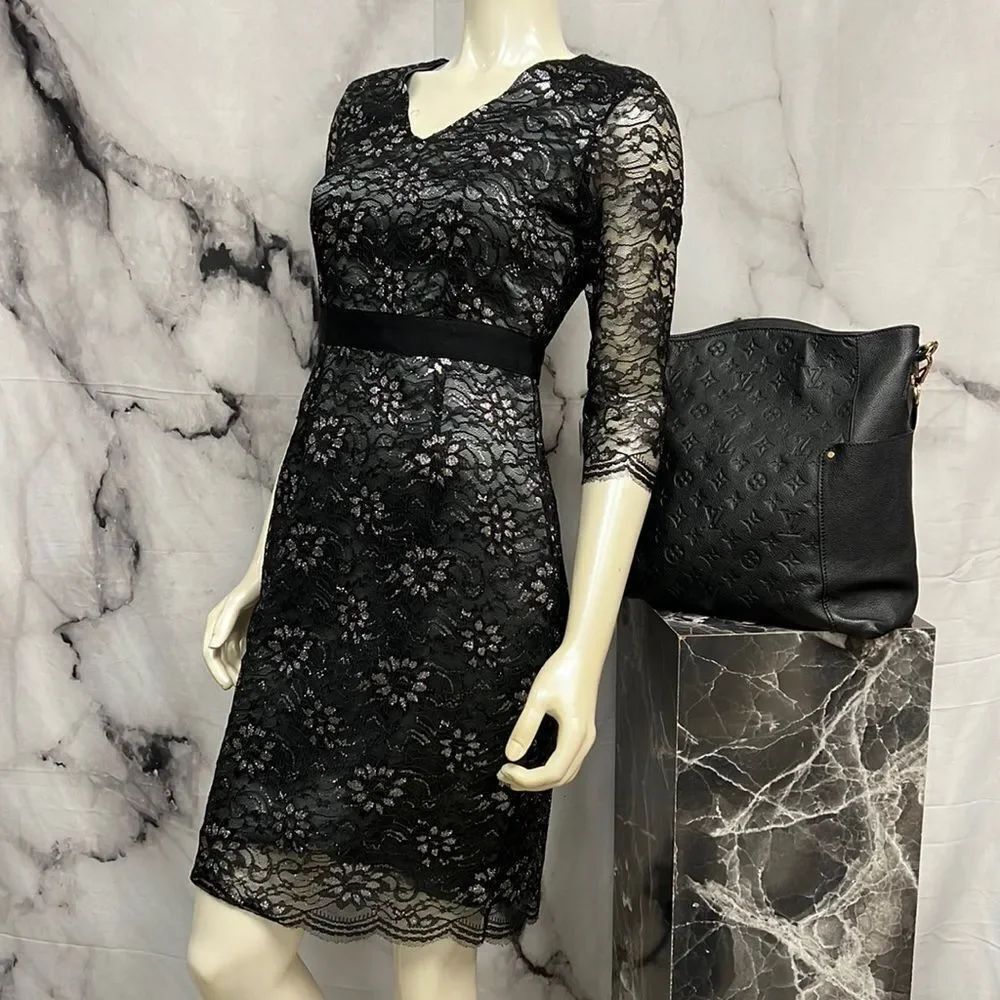 * Banana republic black, and silver sparkle lace evening dress